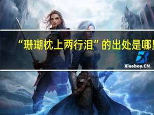 “珊瑚枕上两行泪”的出处是哪里