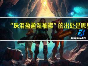 “珠泪盈盈湿袖襟”的出处是哪里