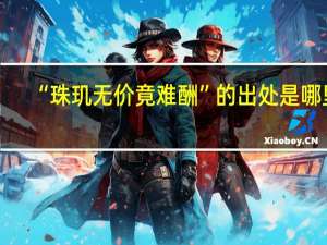 “珠玑无价竟难酬”的出处是哪里