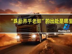 “珠胎养乎老蚌”的出处是哪里