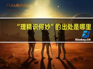 “理精识何妙”的出处是哪里