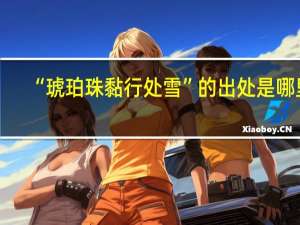 “琥珀珠黏行处雪”的出处是哪里