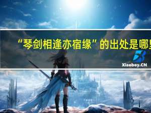 “琴剑相逢亦宿缘”的出处是哪里