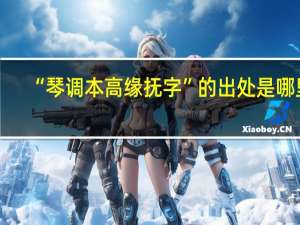 “琴调本高缘抚字”的出处是哪里