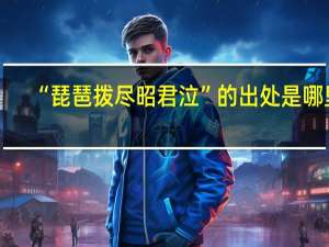“琵琶拨尽昭君泣”的出处是哪里