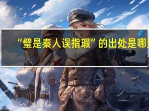 “璧是秦人误指瑕”的出处是哪里