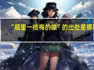 “瓶里一枝梅的皪”的出处是哪里