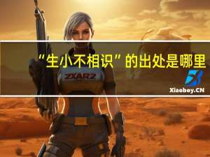 “生小不相识”的出处是哪里