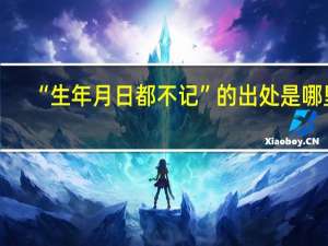 “生年月日都不记”的出处是哪里