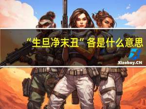 “生旦净末丑”各是什么意思