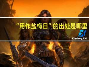 “用作盐梅日”的出处是哪里