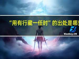 “用有行藏一任时”的出处是哪里