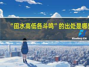 “田水高低各斗鸣”的出处是哪里