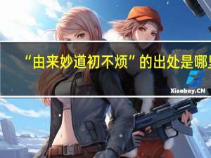 “由来妙道初不烦”的出处是哪里