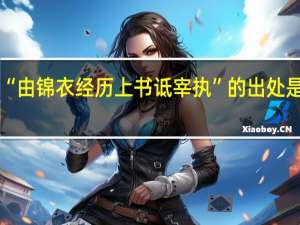 “由锦衣经历上书诋宰执”的出处是哪里