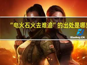 “电火石火去难追”的出处是哪里