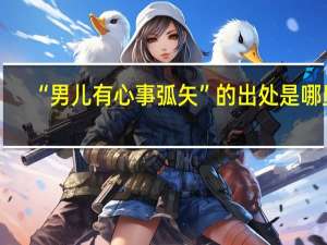 “男儿有心事弧矢”的出处是哪里