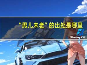 “男儿未老”的出处是哪里