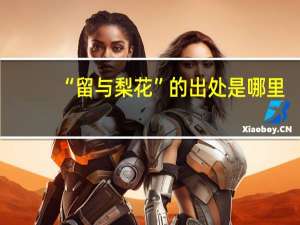 “留与梨花”的出处是哪里