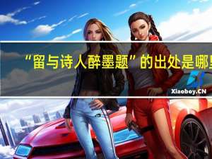 “留与诗人醉墨题”的出处是哪里