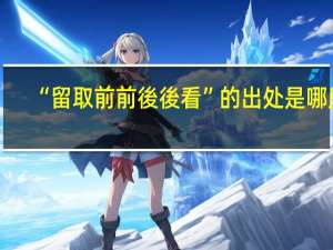 “留取前前後後看”的出处是哪里