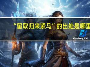 “留取归来紧马”的出处是哪里