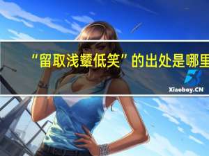 “留取浅颦低笑”的出处是哪里