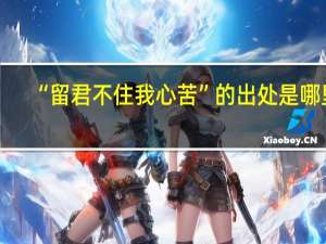 “留君不住我心苦”的出处是哪里