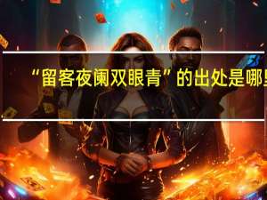 “留客夜阑双眼青”的出处是哪里