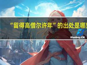 “留得高僧尔许年”的出处是哪里