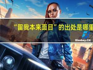 “留我本来面目”的出处是哪里