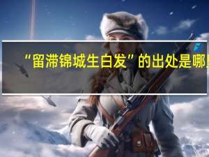 “留滞锦城生白发”的出处是哪里