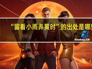 “留看小雨弄黄时”的出处是哪里