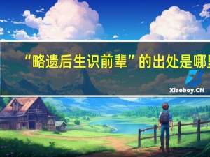 “略遗后生识前辈”的出处是哪里