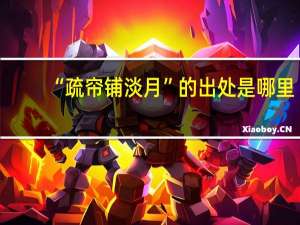 “疏帘铺淡月”的出处是哪里