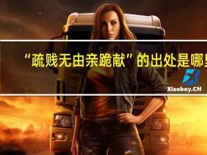 “疏贱无由亲跪献”的出处是哪里