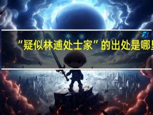 “疑似林逋处士家”的出处是哪里