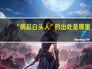 “病起白头人”的出处是哪里