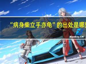 “病身柴立手亦龟”的出处是哪里