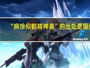 “病馀似鹤精神爽”的出处是哪里