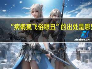 “病鹘孤飞俗眼丑”的出处是哪里