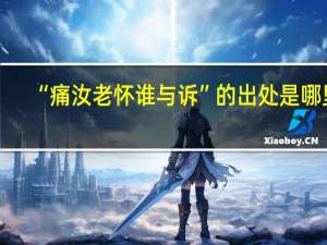 “痛汝老怀谁与诉”的出处是哪里