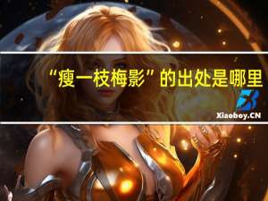 “瘦一枝梅影”的出处是哪里