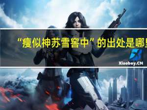 “瘦似神苏雪窖中”的出处是哪里