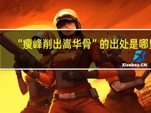 “瘦峰削出嵩华骨”的出处是哪里