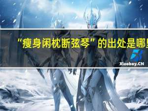 “瘦身闲枕断弦琴”的出处是哪里