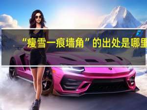 “瘦雪一痕墙角”的出处是哪里