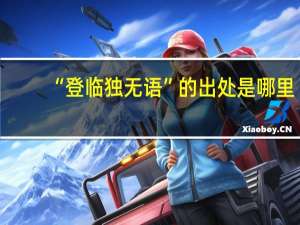 “登临独无语”的出处是哪里