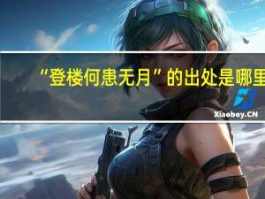 “登楼何患无月”的出处是哪里