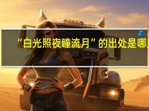 “白光照夜瞳流月”的出处是哪里